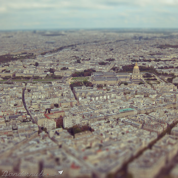 Bird's Eye View of Paris from the Eiffel Tower.
