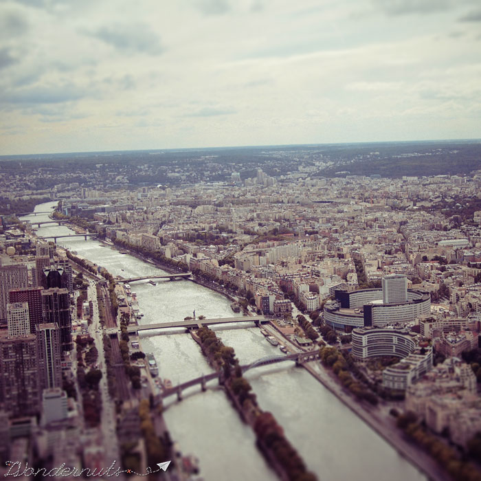 The Rive Seine from the Eiffel Tower.
