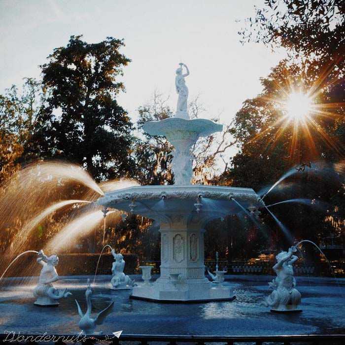 That sun.  That fountain.  That park. That's Forsyth.