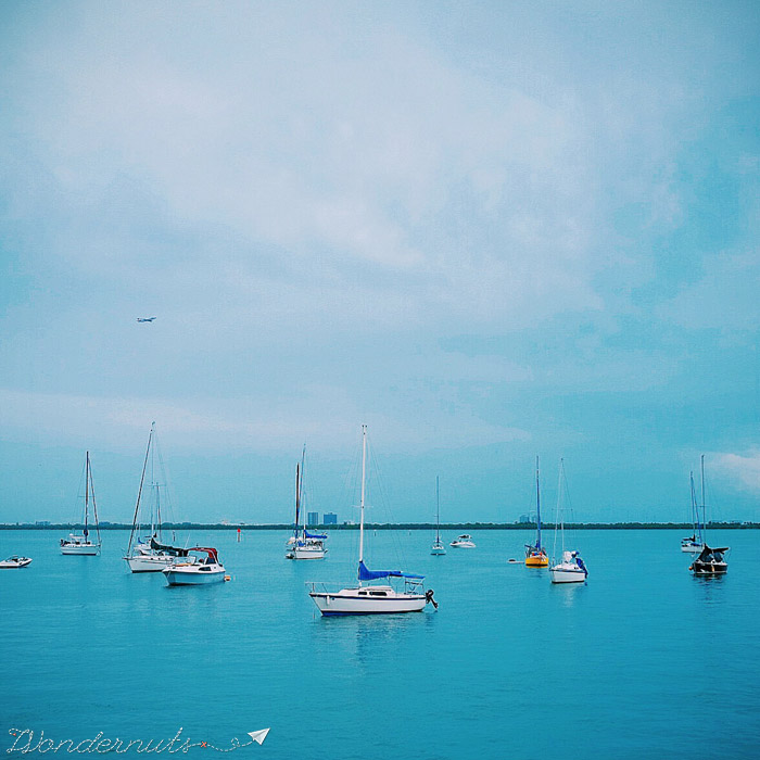 Boats in Miami: I can haz?